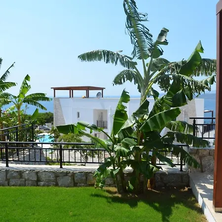 3 Bedroom Fabay Abaduku Elveri 公寓 博阿齐奇