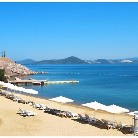 公寓 3 Bedroom Fabay Abaduku Elveri *